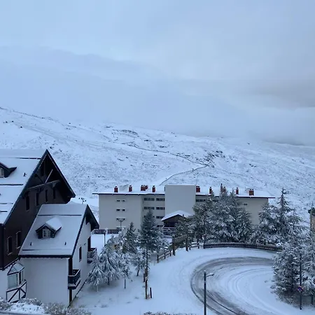 Living Sierra Nevada